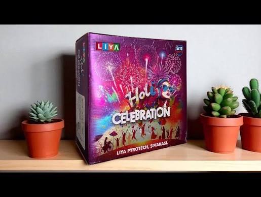5 x 10 Holi Celebration